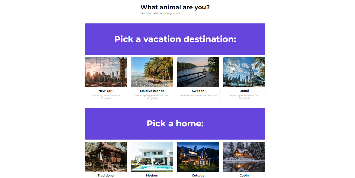 screenshot of the website